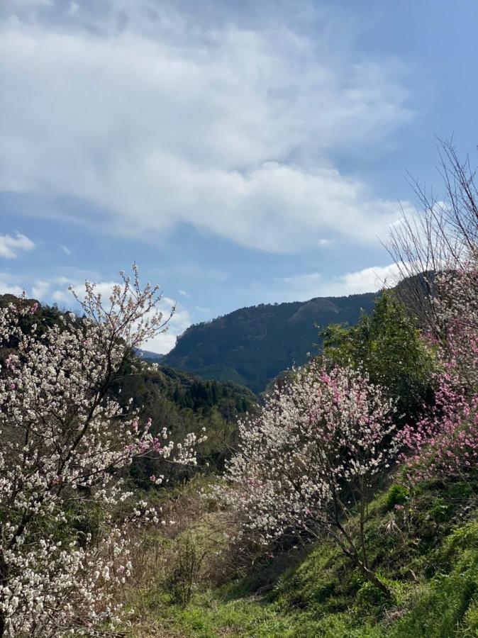 Yufuin Ryoan Wazanho Hotel Oita Bagian luar foto